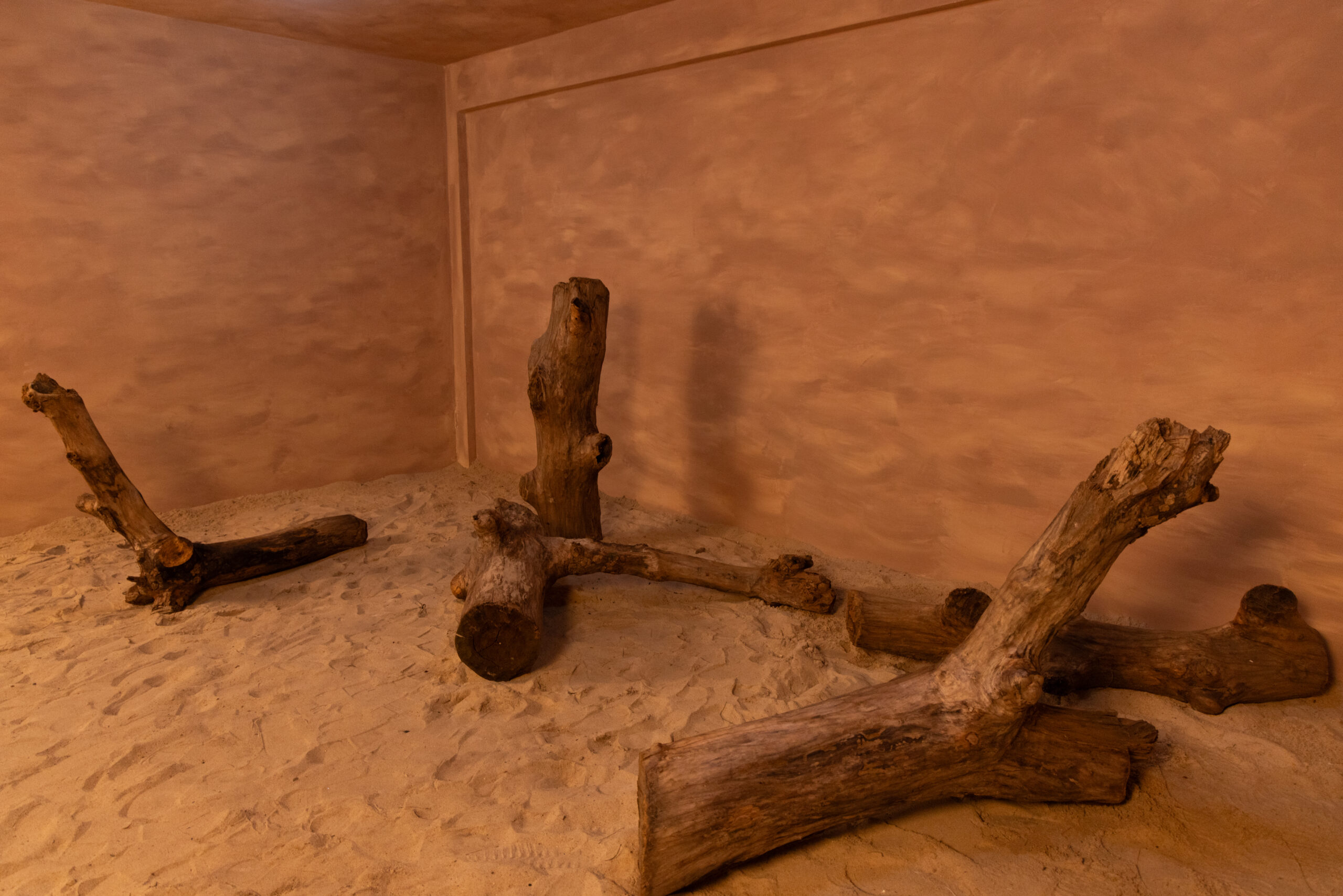 Pixxel Factory. Content studio in Lagos